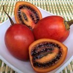 fruto del tomate de árbol