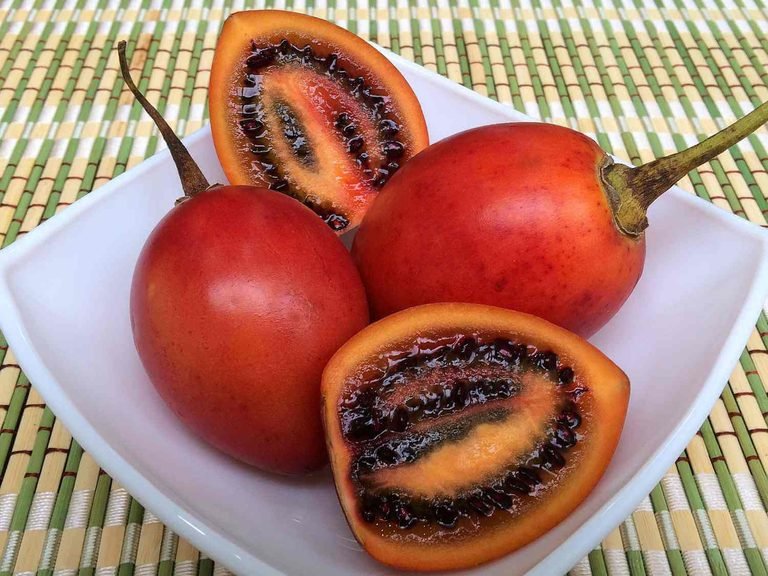 fruto del tomate de árbol