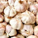 garlics